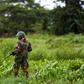 Myanmar's military has been accused by Amnesty International of 'war crimes' in Rakhine state