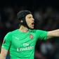Arsenal goalkeeper Petr Cech is calling time on his playing career
