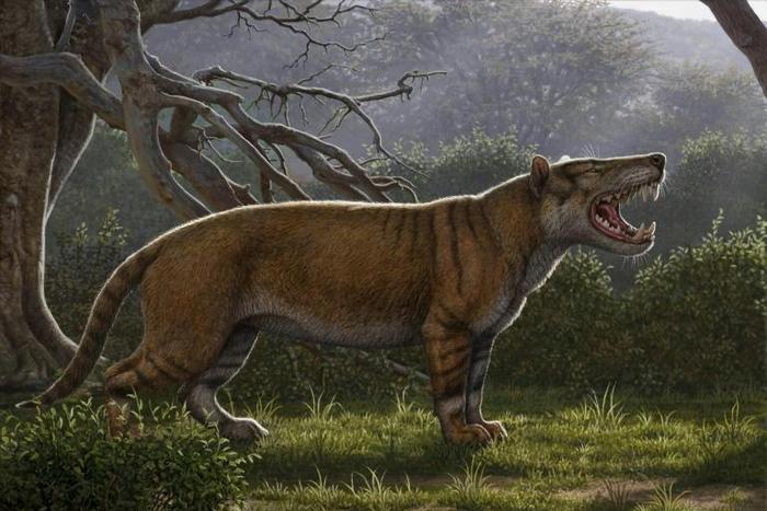 The lion would have weighed up to 1,500 kilogrammes and could have preyed upon the elephant-like creatures