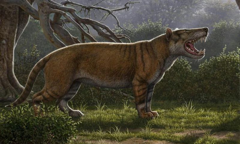 The lion would have weighed up to 1,500 kilogrammes and could have preyed upon the elephant-like creatures
