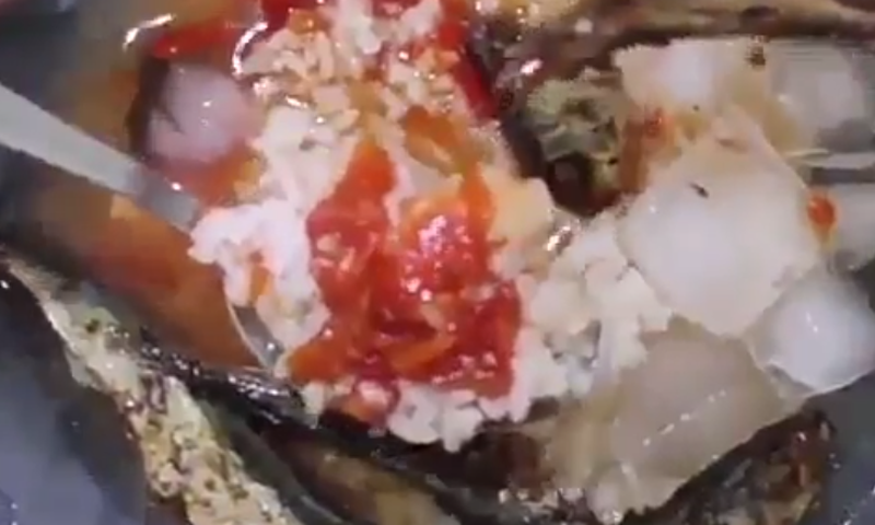 Rice, stew with fried fish and ice cubes