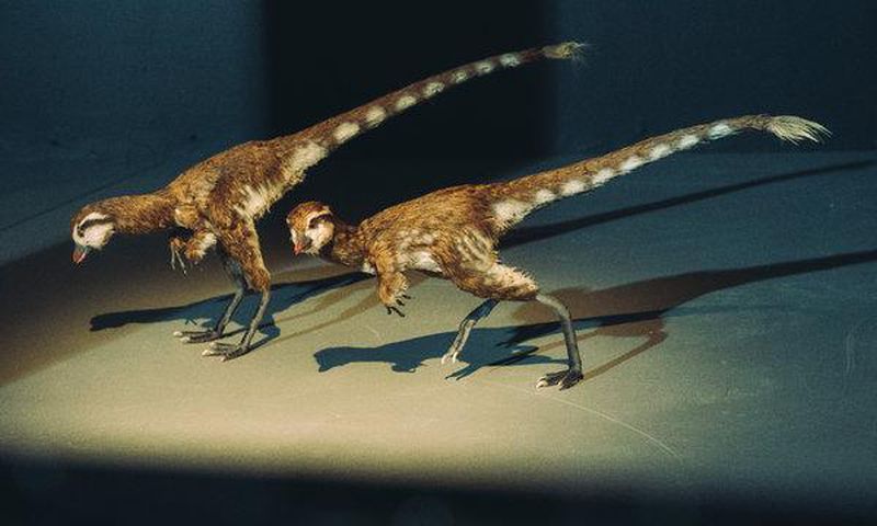 He listed a T. Rex fossil on eBay for $2.95 million, scientists weren't thrilled