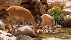 5 TV Shows to Have Sex To