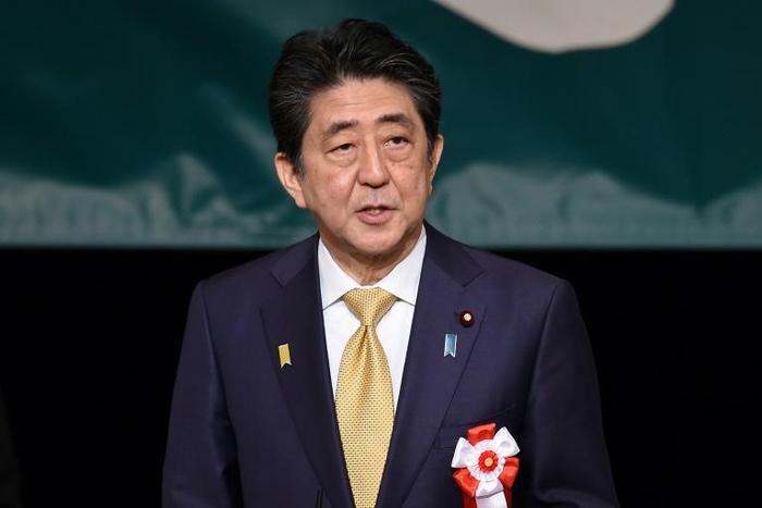 Japan's Prime Minister Shinzo Abe told members of his ruling Liberal Democratic Party that his government had ordered child welfare centres across the nation to confirm within a month the safety of all children suspected to have been abused