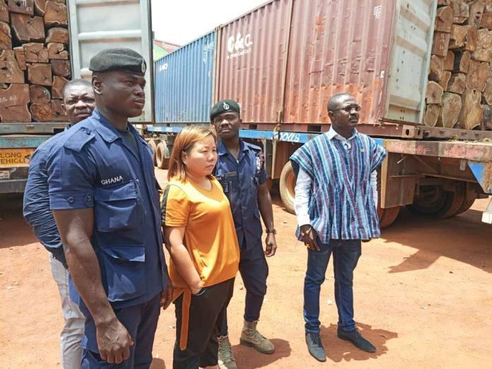 Chinese woman arrested for illegal rosewood logging missing, says Police