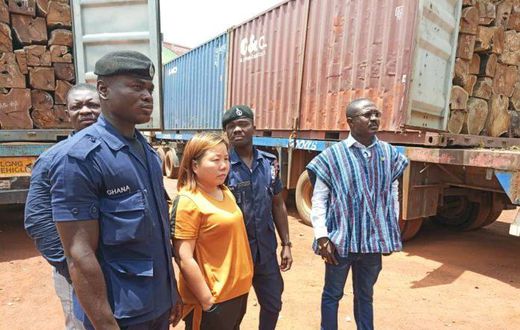 Chinese woman arrested for illegal rosewood logging missing, says Police