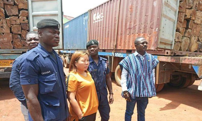 Chinese woman arrested for illegal rosewood logging missing, says Police