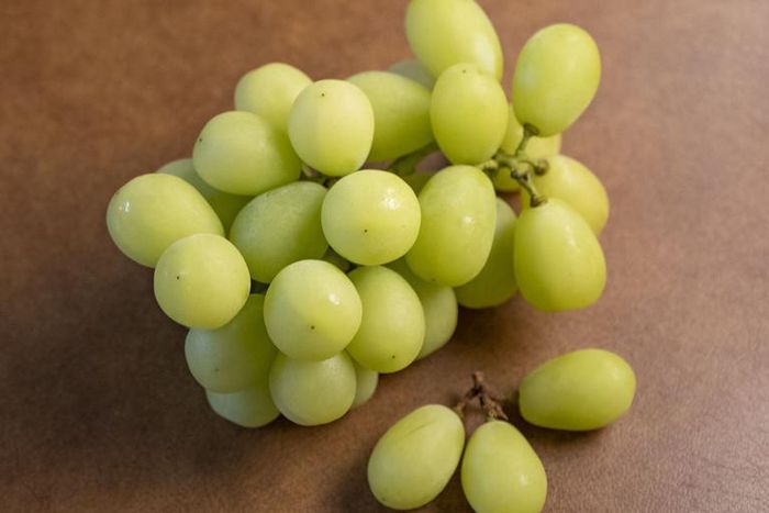 Dr. Pimple Popper Tackles 'Cute' Pilar Cyst