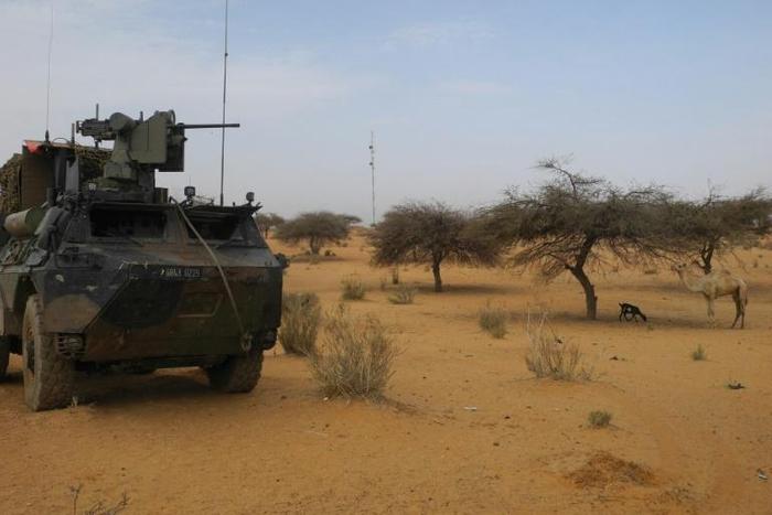 French Barkhane force near the Malian town of Gossi has been carrying out anti-jihadist operations in the region