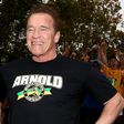 Arnold Schwarzenegger Practiced His Axe Throwing