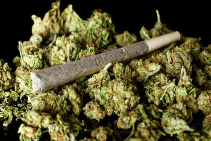 Formalizing a thriving black market