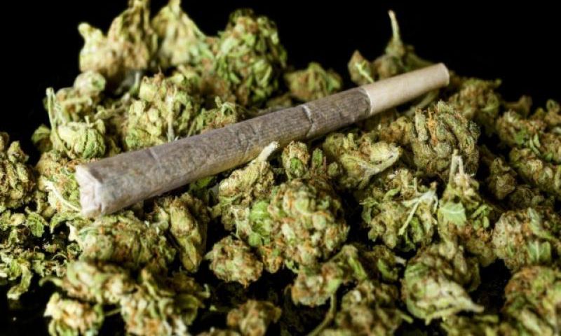 Formalizing a thriving black market