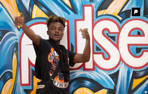 Quamina MP