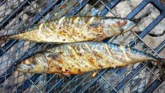 Grilled salmon