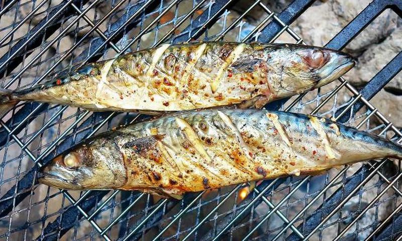 Grilled salmon
