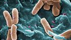 Culture of Secrecy Shields Hospitals With Outbreaks of Drug-Resistant Infections