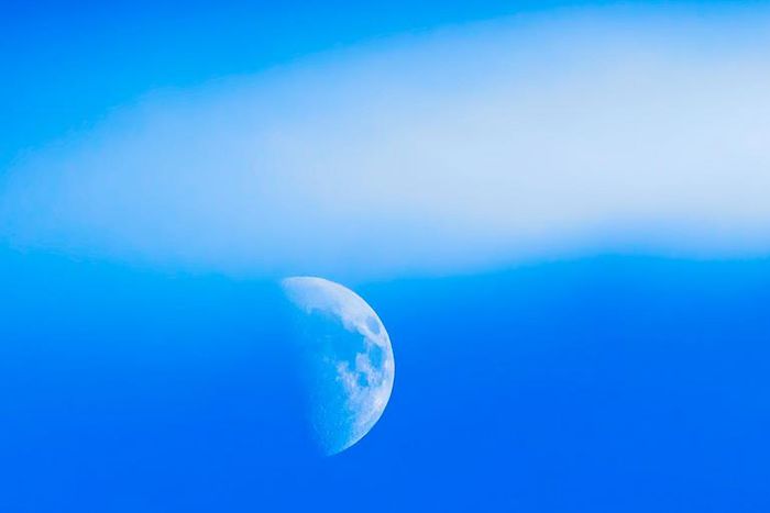 What The New Moon In Taurus Means For Your Sign