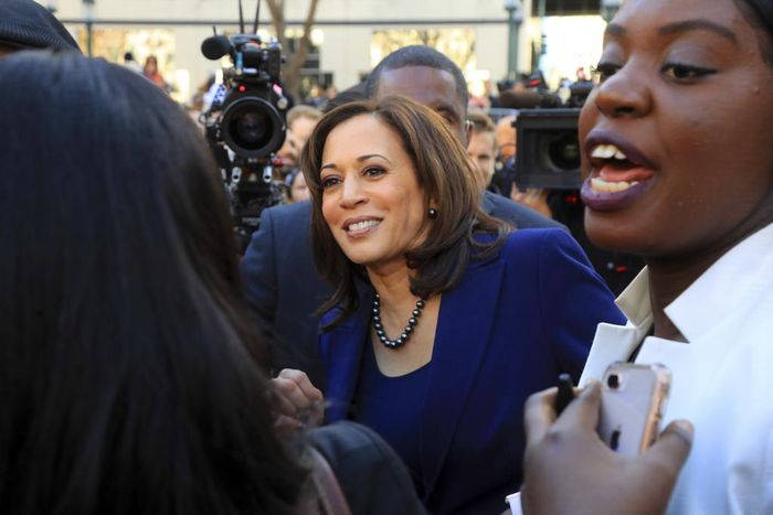 2020 Democrats Agree: They're Very, Very Sorry