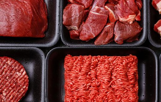 Inside the All-Meat Carnivore Diet