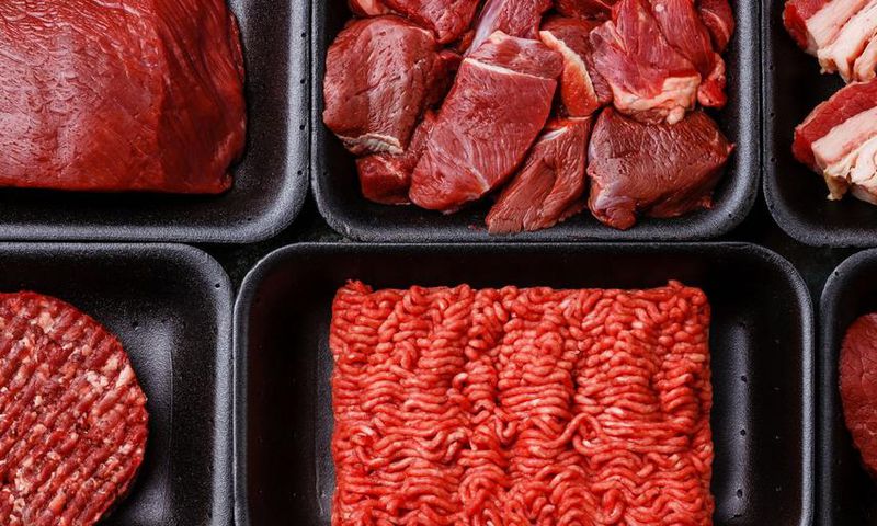 Inside the All-Meat Carnivore Diet