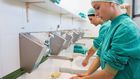 What you need to know about candida auris