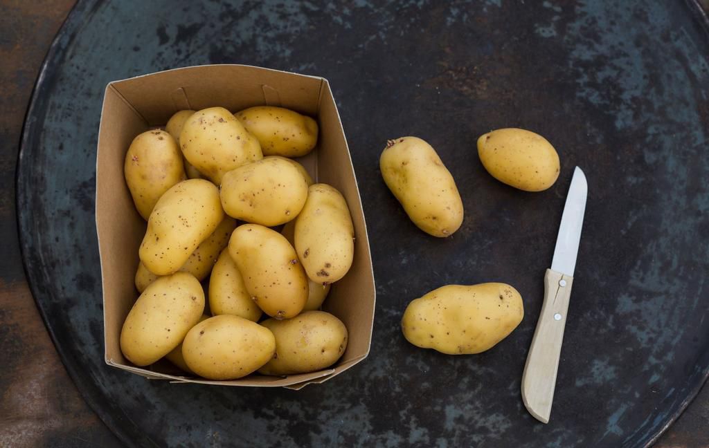 4 Things That Could Seriously Help You Lose Weight