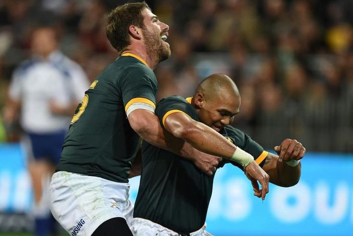 Springbok winger Cornal Hendricks (R) celebrates scoring a try against New Zealand in a 2014 Rugby Championship match in Wellington