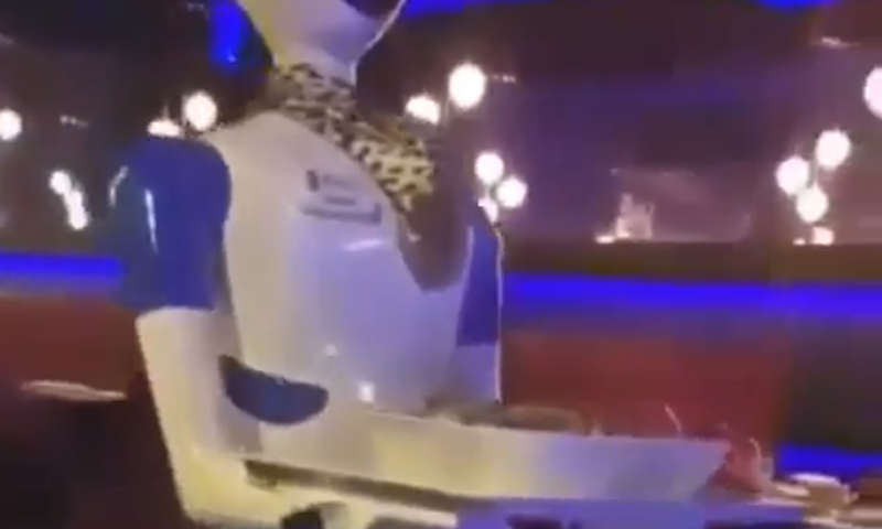 Robot waitress