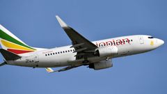 Ethiopian Airlines, with more than 100 aircraft, is the largest in Africa. Pictured here: a Boeing 737-700 aircraft taking off in November 2018