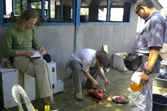 Dutchman Ewold Horn (left) with fellow birdwatcher Lorenzo Vinciguerra and guide Ivan Sarenas before their 2012 abduction