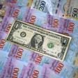 The adoption of the dollar has been creeping in for months as Venezuela's jaw-dropping inflation meant the use of its bolivar currency is largely restricted to purchases by debit cards or bank transfers
