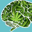 This Is What Weed Dependence Feels Like