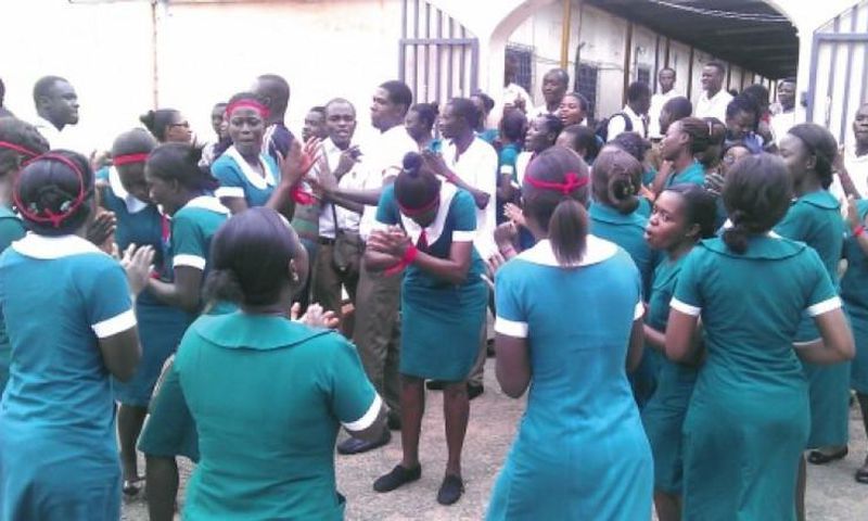 Unemployed graduate nurses
