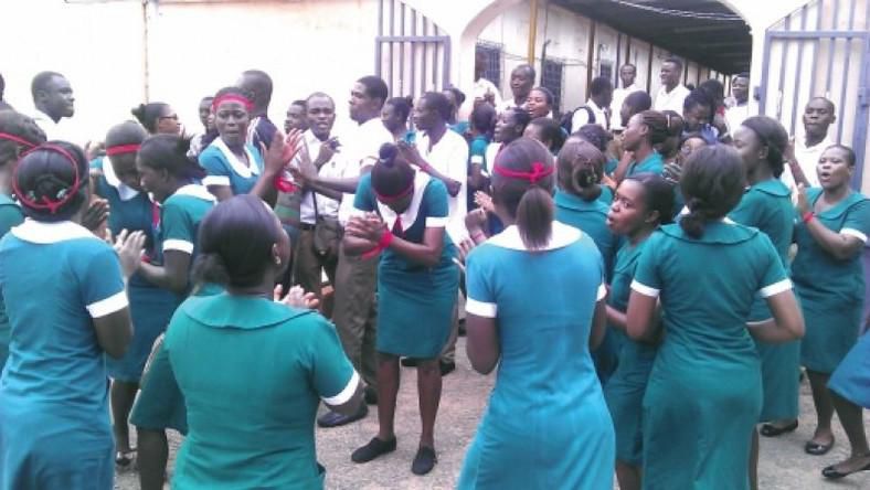 Unemployed graduate nurses