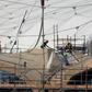 Qatar has introduced a series of labour reforms since its selection as the 2022 World Cup host