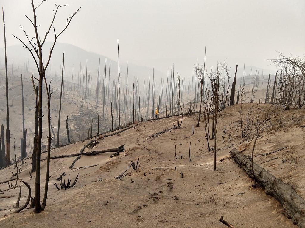 CrossFit Helped This Firefighter Save Lives