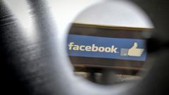 The US-based Avaaz campaign site tracked the 100 most viral pieces of fake news that circulated on Facebook accounts linked to the movement over the last four months
