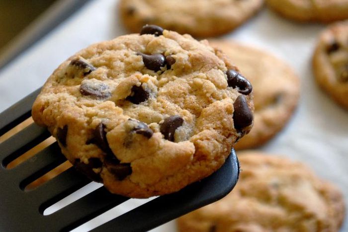 Dr. Pimple Popper Pops Two Types Of Pimples