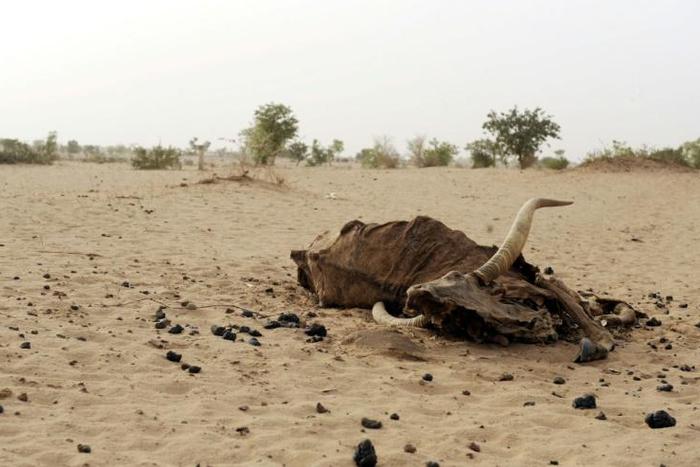 The region regularly suffers from devastating spells of drought