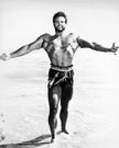 steve reeves