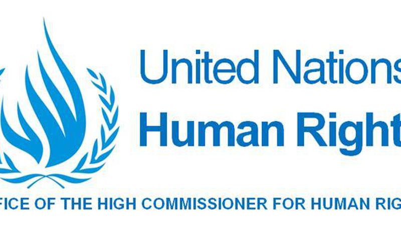 Office of the UN High Commissioner for Human Rights (OHCHR)