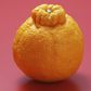 Don't Be The Last To Know What A Sumo Orange Is