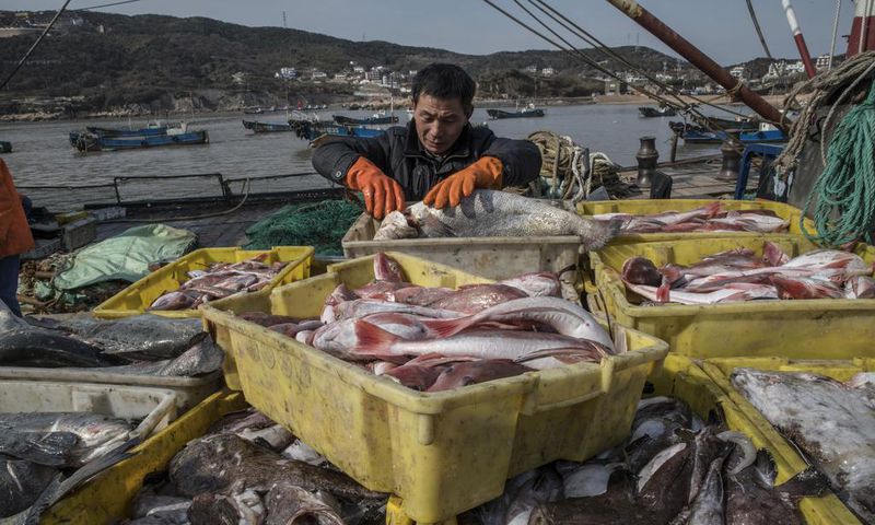 The World Is Losing Fish to Eat as Oceans Warm, Study Finds