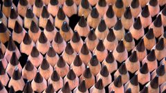 Dr. Pimple Popper Takes Tweezers to Blackheads