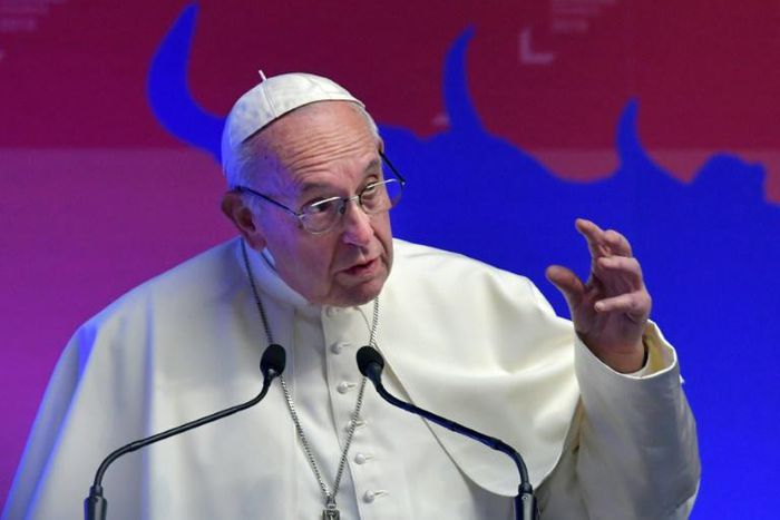 Pope Francis has warned anyone expecting a quick fix to sex abuse by clerics that "the problem of abuse will continue"