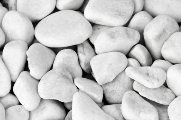 Dr. Pimple Popper Just Extracted 7 Different Zits