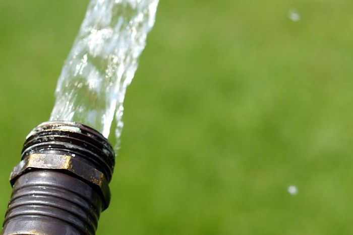 Dr. Pimple Popper Pops Two Squirting Cysts