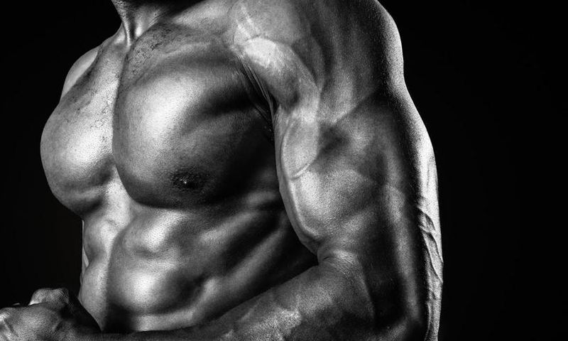 How Much Muscle You Can Add in 1 Month
