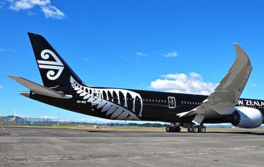 Woman kicked out of passenger plane for refusing to watch compulsory video
