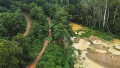 Illegal mining